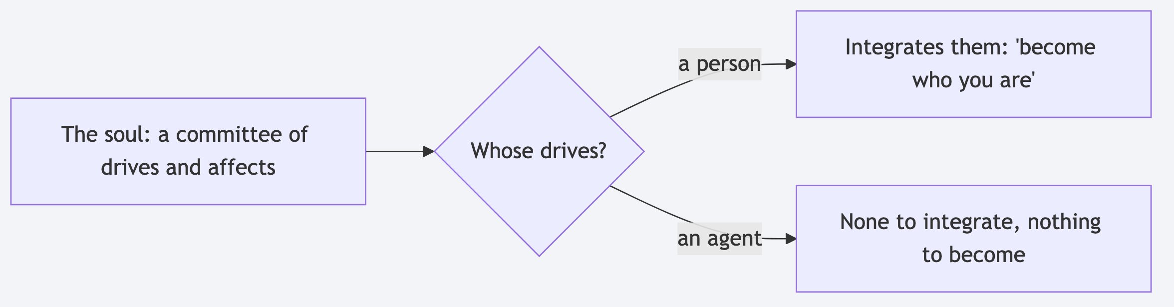 Nietzsche: whose drives does the soul answer to — a person or an agent